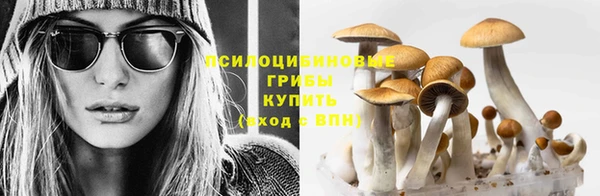 jwh Балабаново